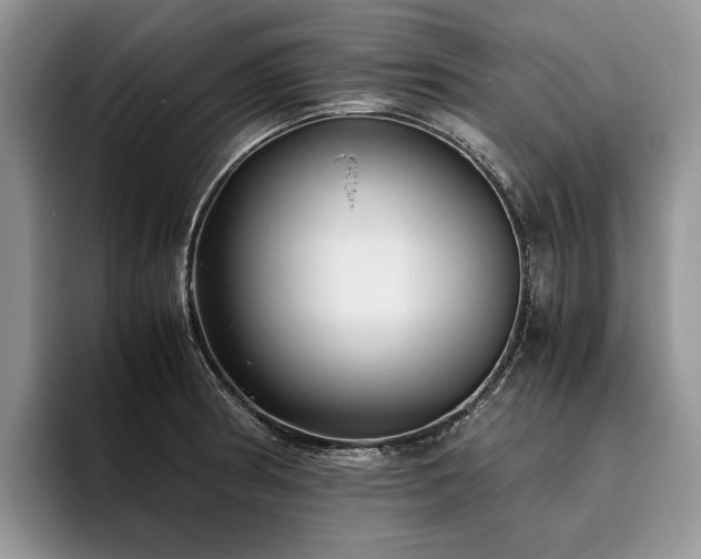 X0000096141186200801181126