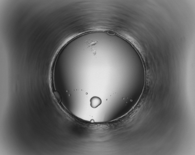 X0000096141187200801181126