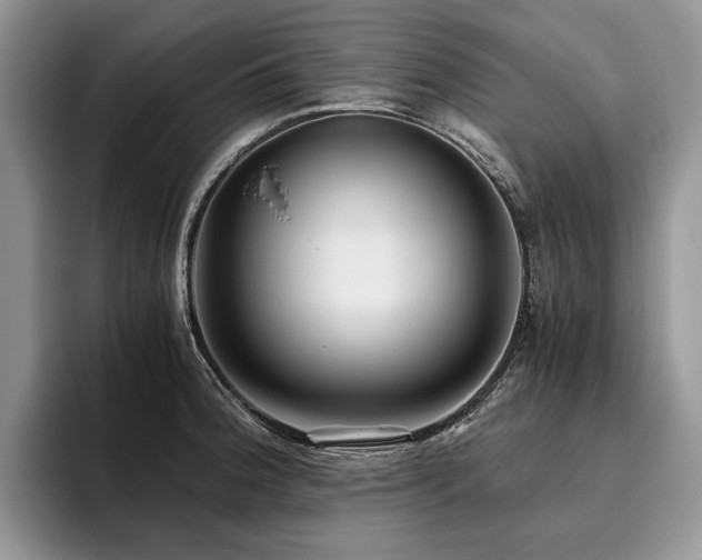 X0000096141188200801181126