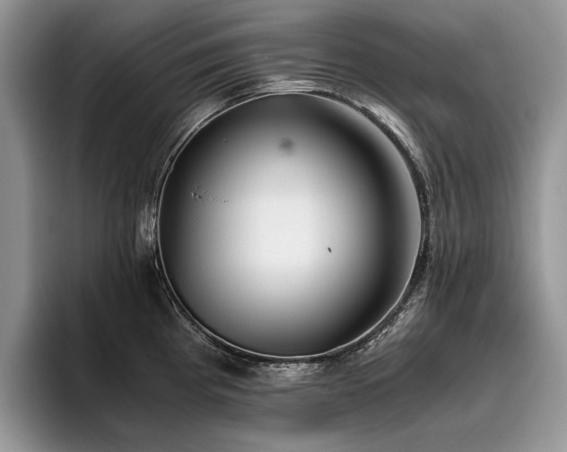 X0000096141193200801181126