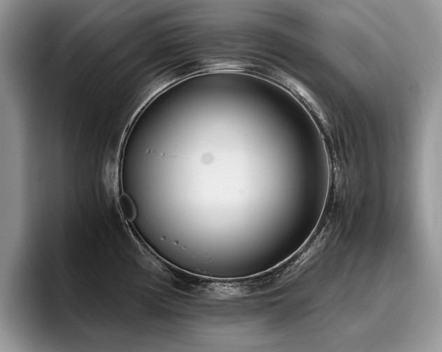 X0000096141194200801181126