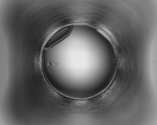 X0000096141196200801181126