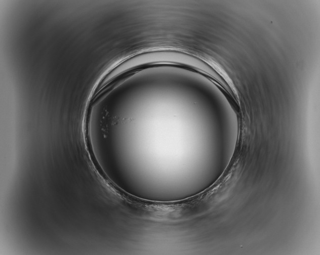 X0000096141197200801181126
