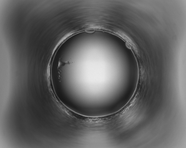 X0000096141198200801181126