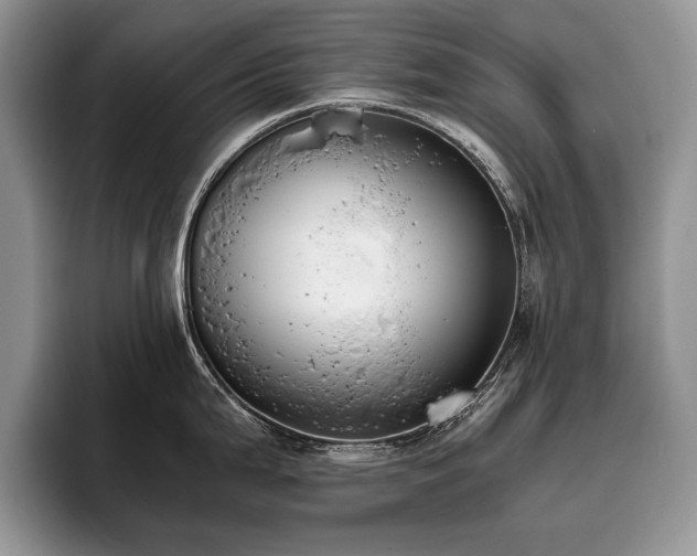 X0000096141199200801181126