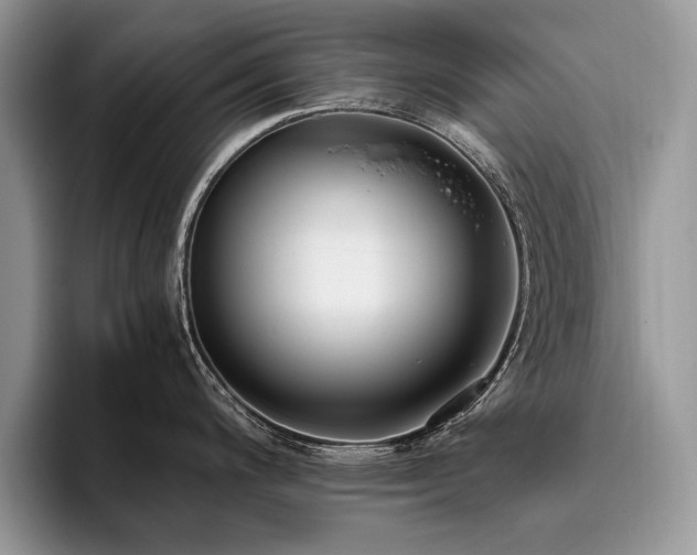 X0000096141200200801181126