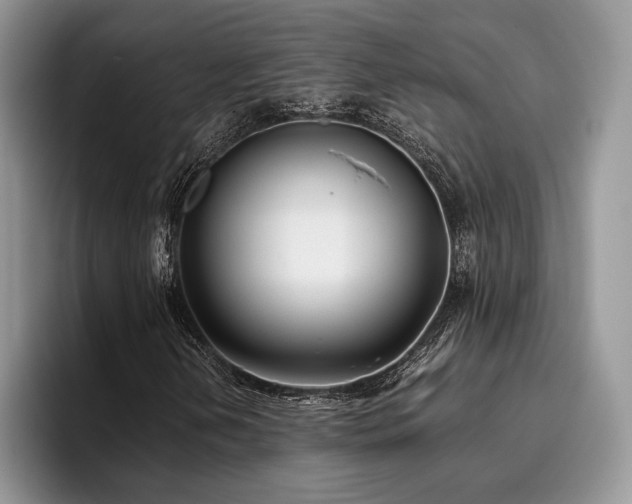 X0000096141202200801181126