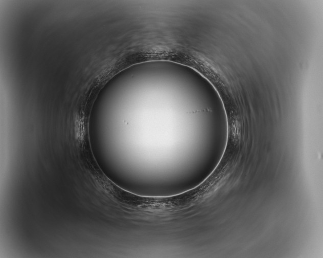 X0000096141204200801181126