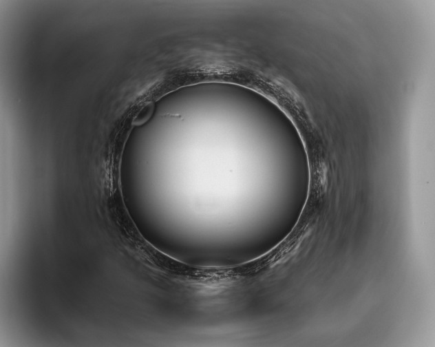 X0000096141205200801181126