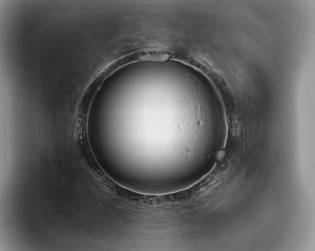 X0000096141208200801181126