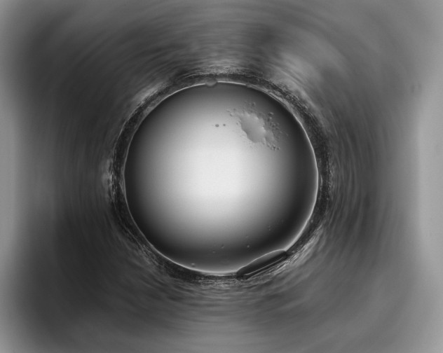 X0000096141210200801181126