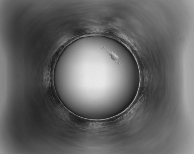 X0000096141211200801181126