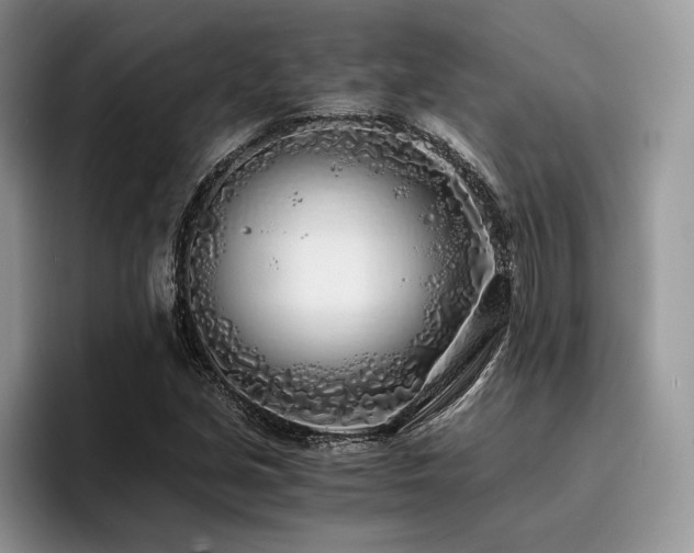 X0000096141213200801181126