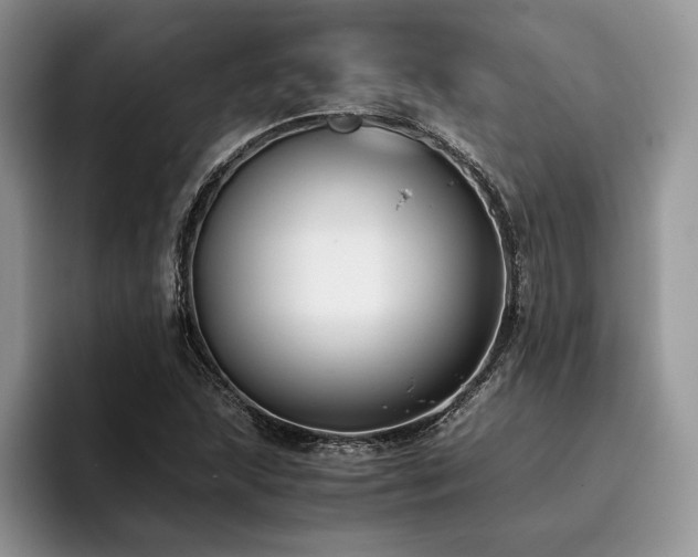 X0000096141215200801181126