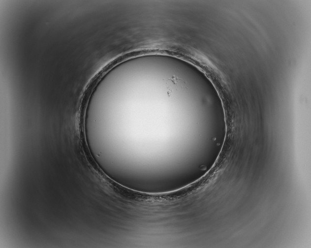 X0000096141216200801181126