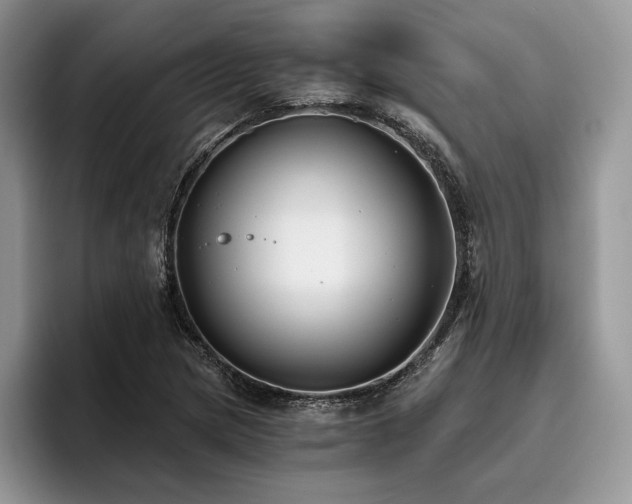 X0000096141217200801181126