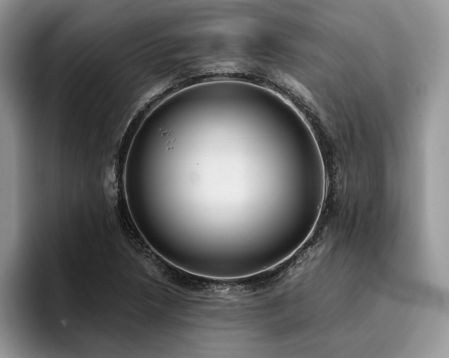 X0000096141218200801181126