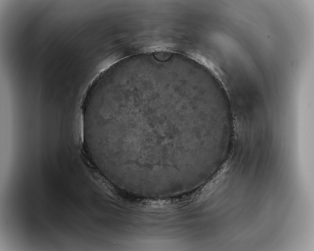X0000096141219200801181126