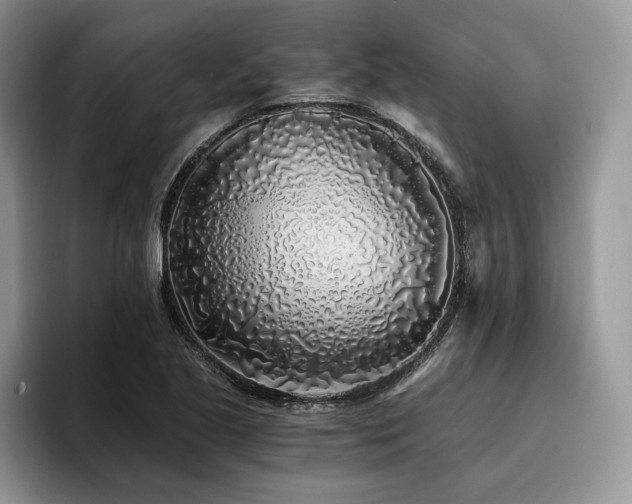X0000096141221200801181126