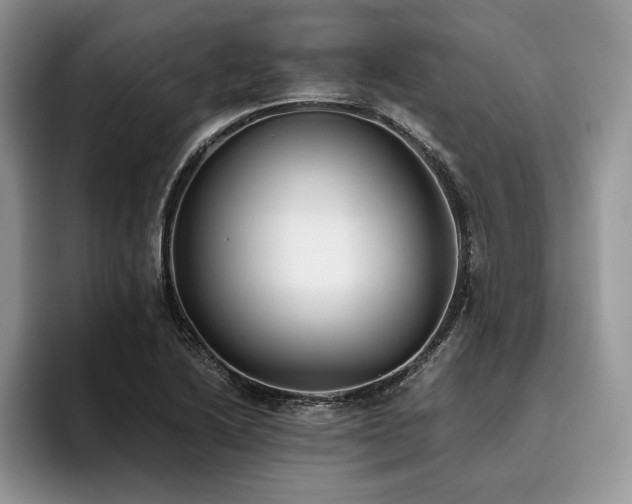 X0000096141222200801181126