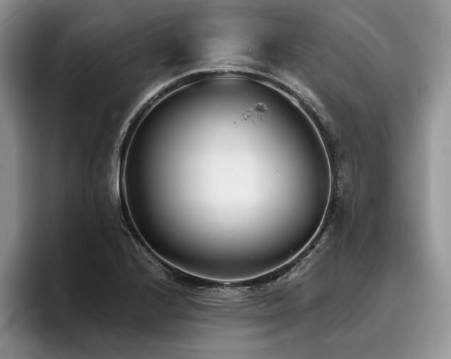X0000096141224200801181126