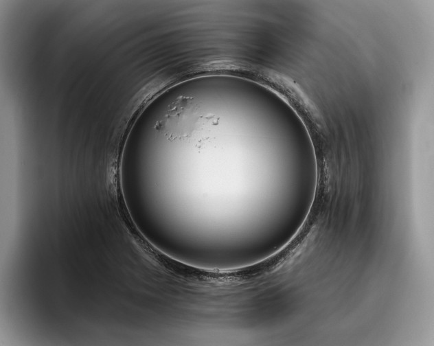 X0000096141225200801181126