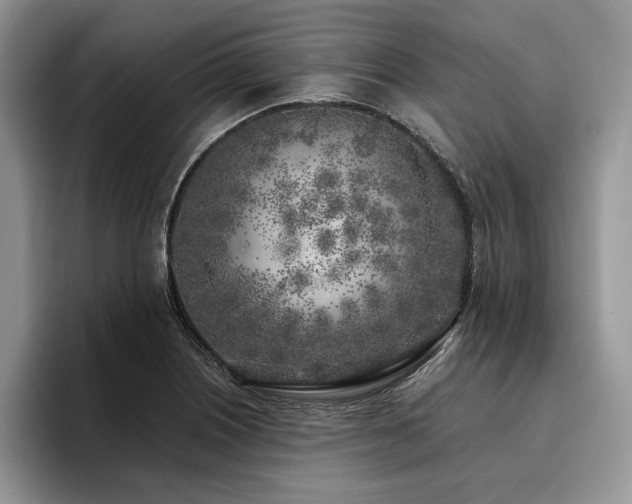 X0000096141226200801181126