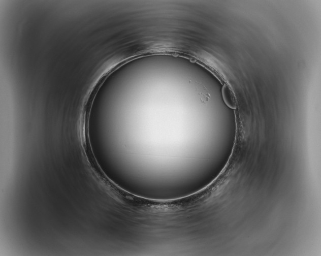 X0000096141227200801181126