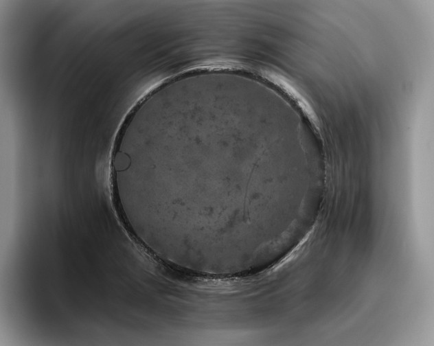 X0000096141229200801181126