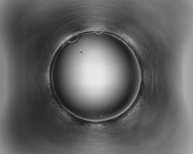 X0000096141230200801181126