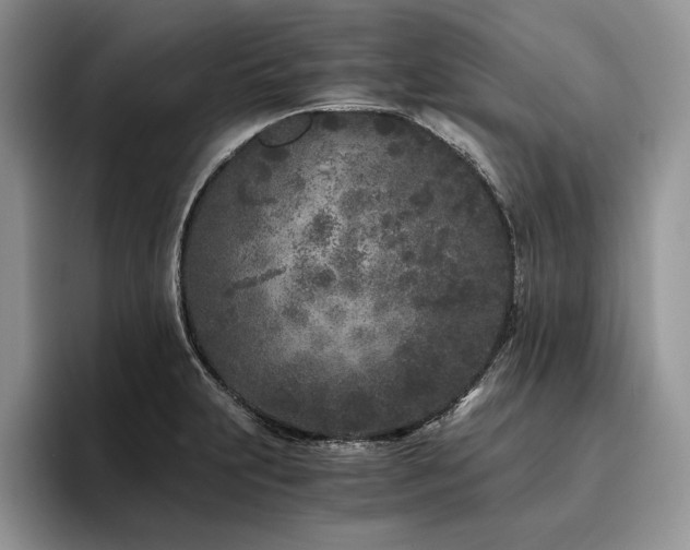 X0000096141231200801181126