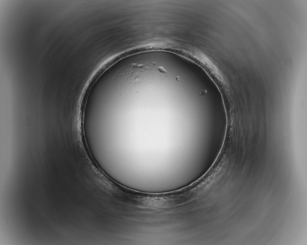 X0000096141232200801181126