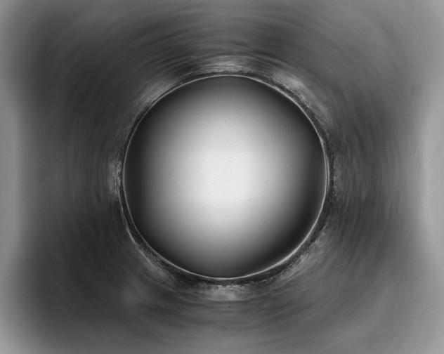 X0000096141233200801181126