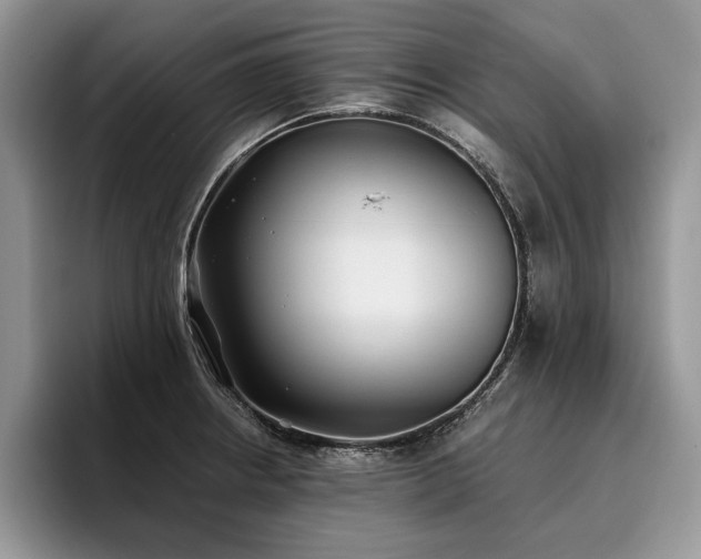X0000096141234200801181126