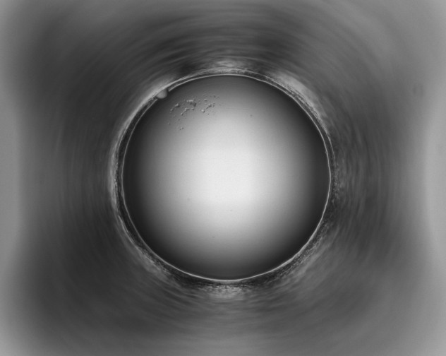 X0000096141235200801181126