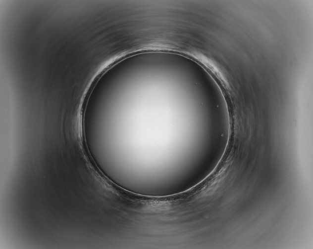 X0000096141238200801181126