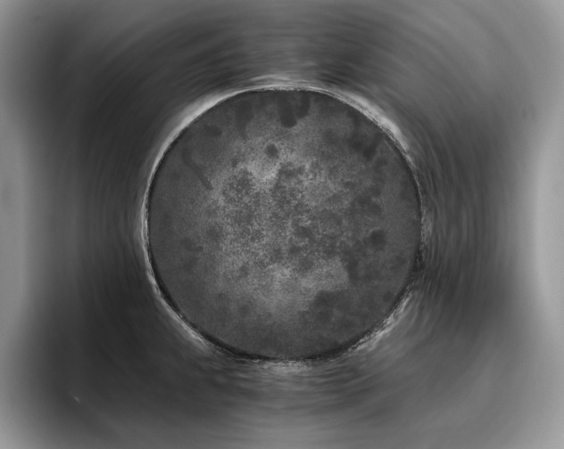 X0000096141239200801181126