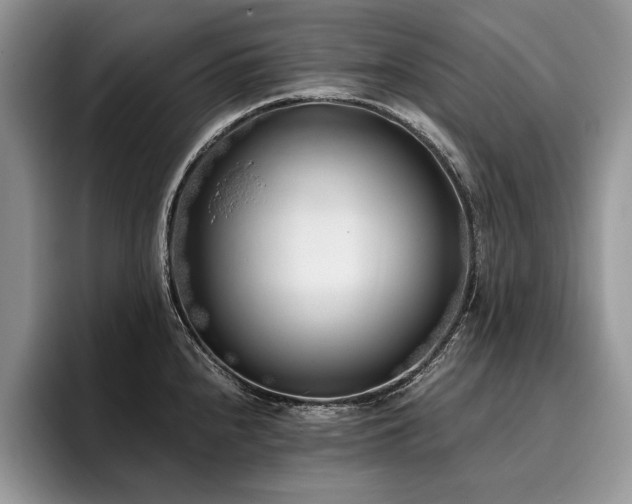 X0000096141240200801181126