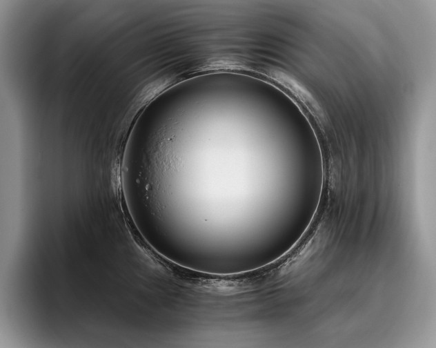 X0000096141241200801181126