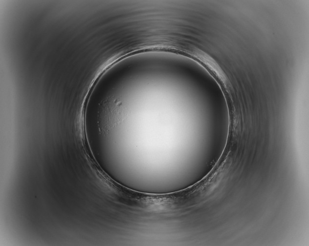 X0000096141242200801181126