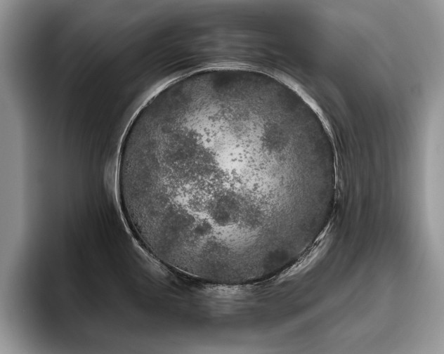 X0000096141245200801181126