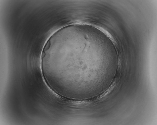 X0000096141247200801181126