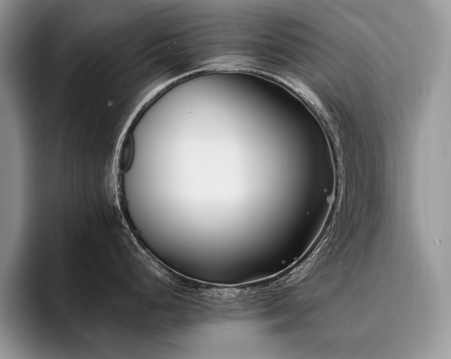 X0000096141248200801181126