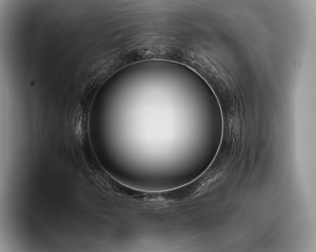 X0000096141250200801181126