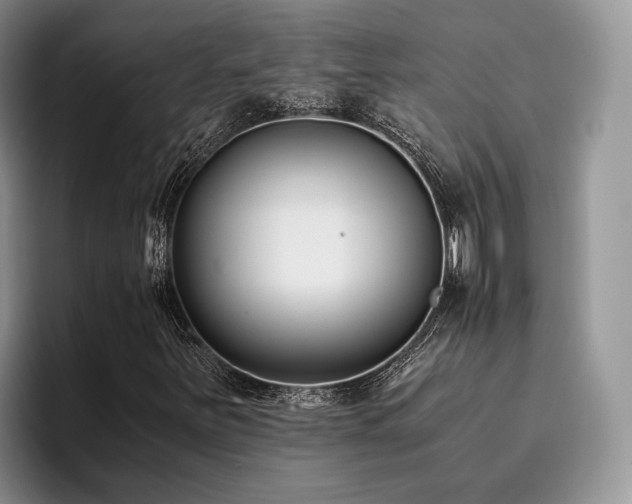 X0000096141251200801181126