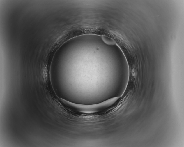 X0000096141252200801181126