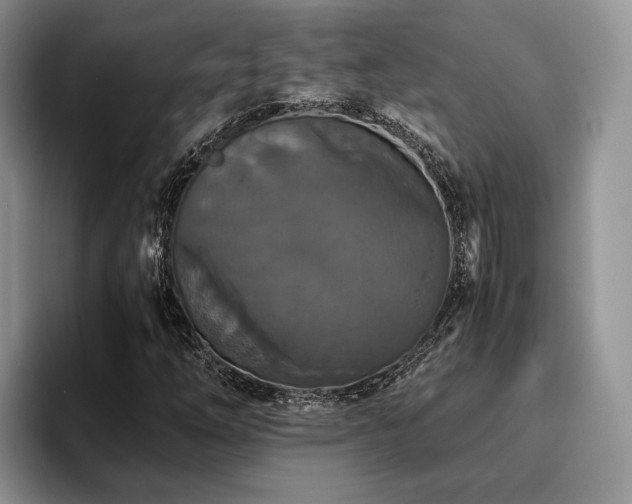 X0000096141254200801181126