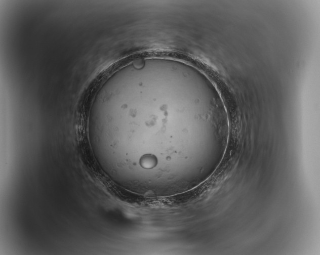 X0000096141255200801181126