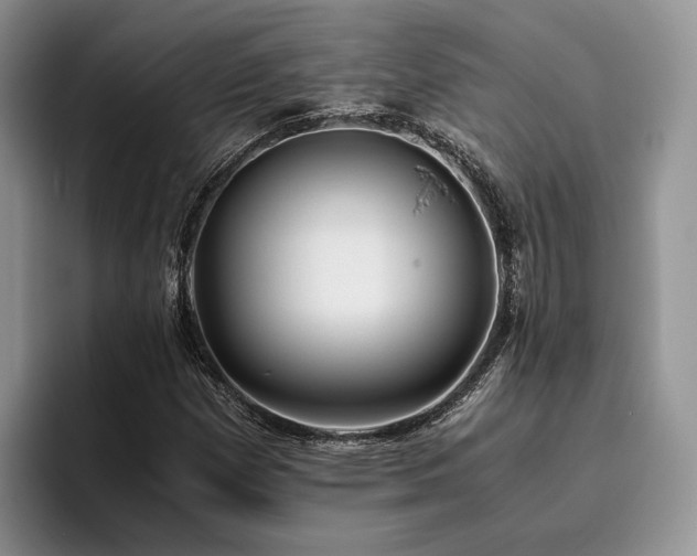 X0000096141257200801181125