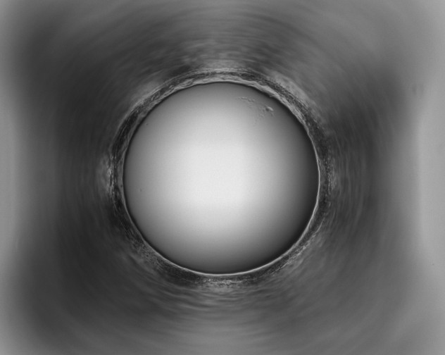 X0000096141258200801181125